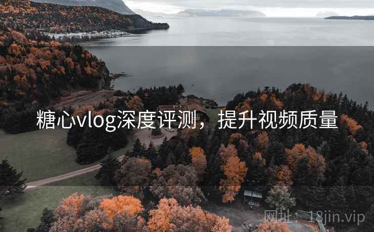 糖心vlog深度评测,提升视频质量 第2张 糖心vlog深度评测,提升视频质量 第2张