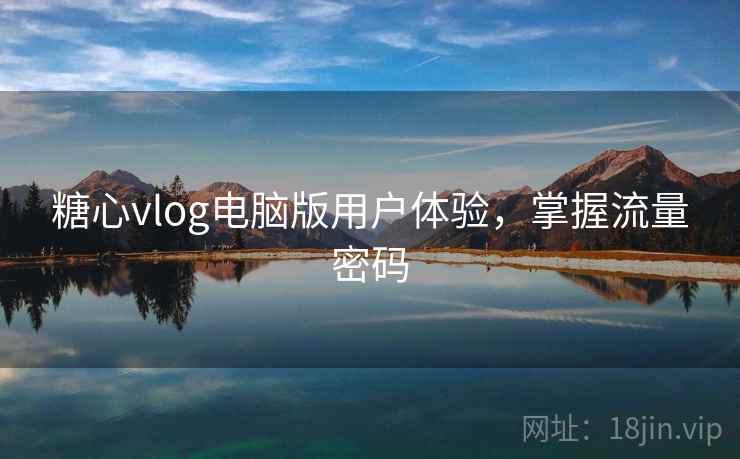 糖心vlog电脑版用户体验,掌握流量密码