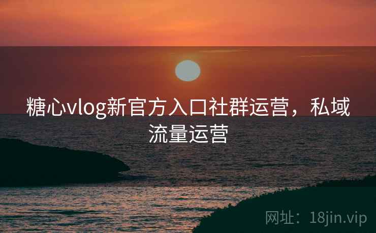 糖心vlog新官方入口社群运营,私域流量运营